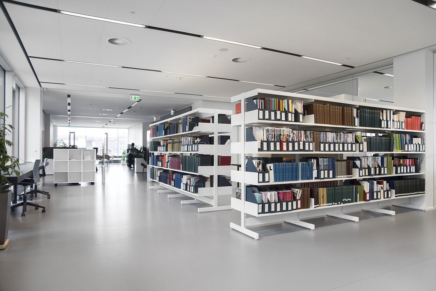 Bibliothek Regal | Eichmüller
